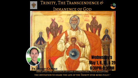 Trinity, The Transcendence & Immanence of God