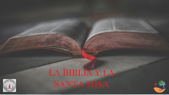 Estudio Bíblico: La Biblia y la Santa Misa