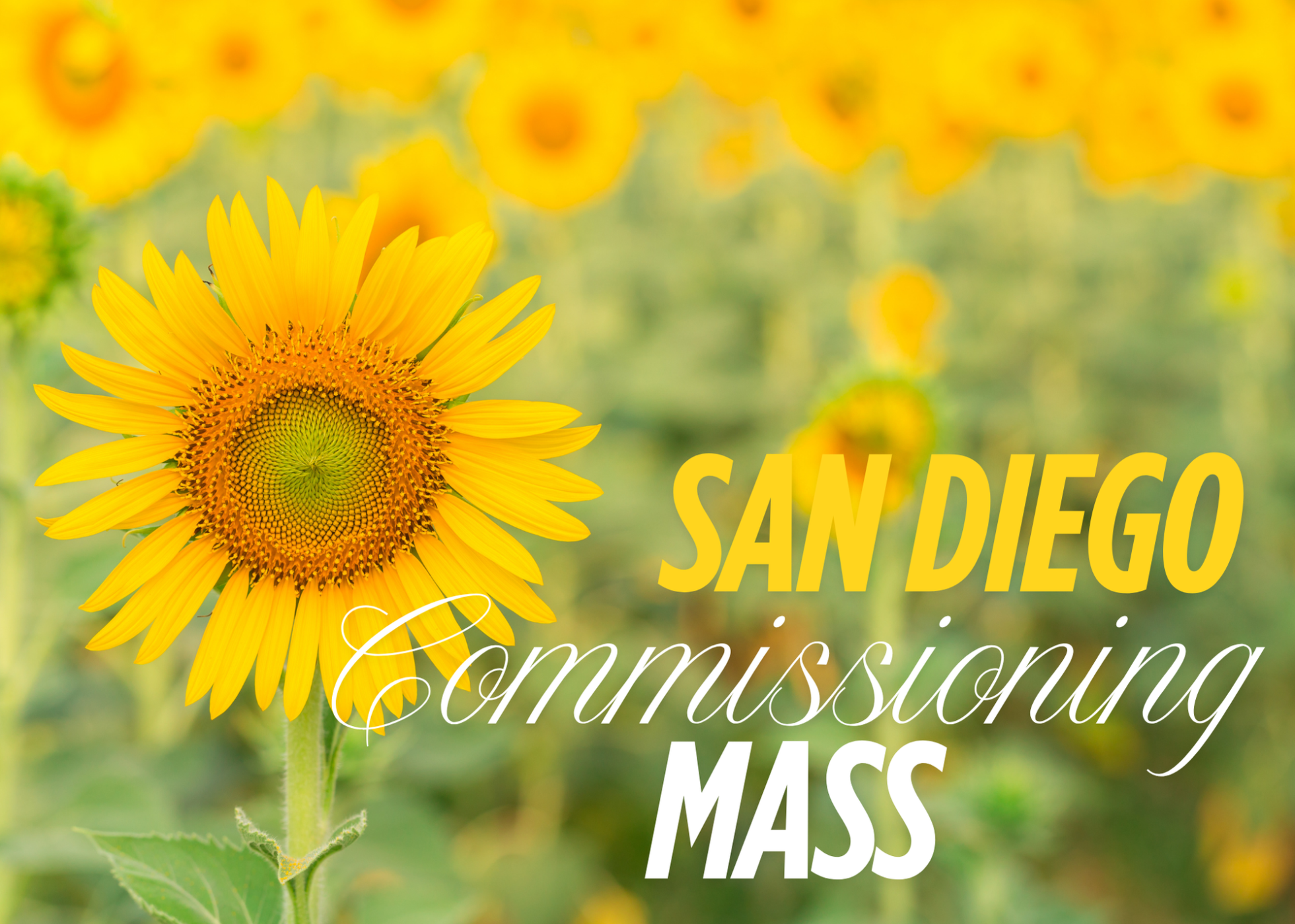 San Diego New Catechetical Year Commissioning Mass (Bilingual)
