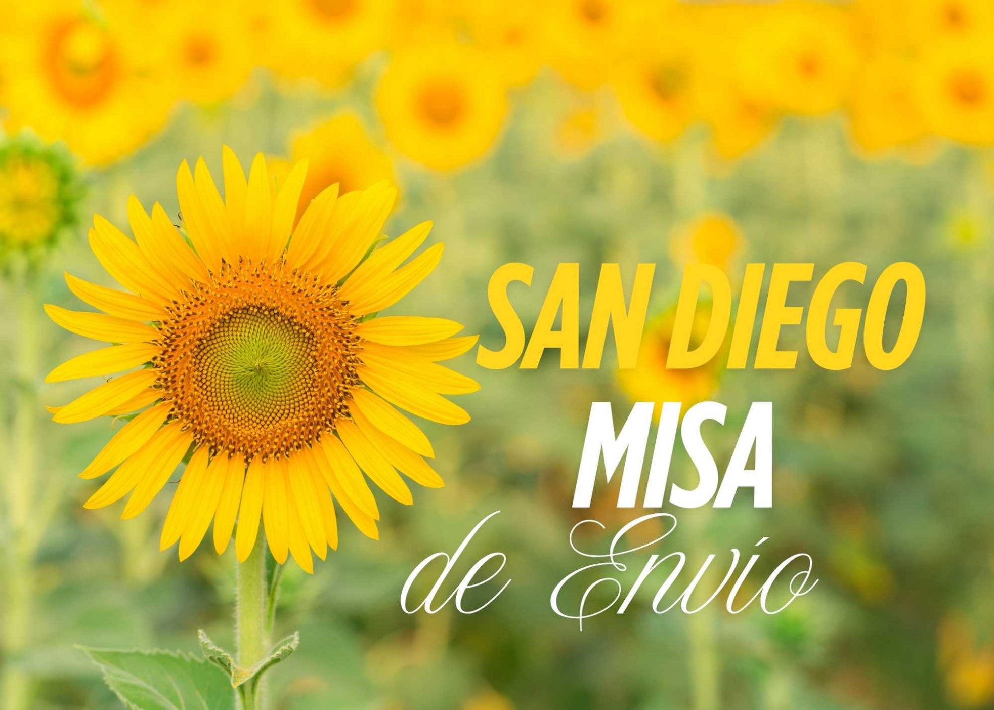San Diego - Misa de Envio para el Nuevo Año Catequetico (Bilingue)