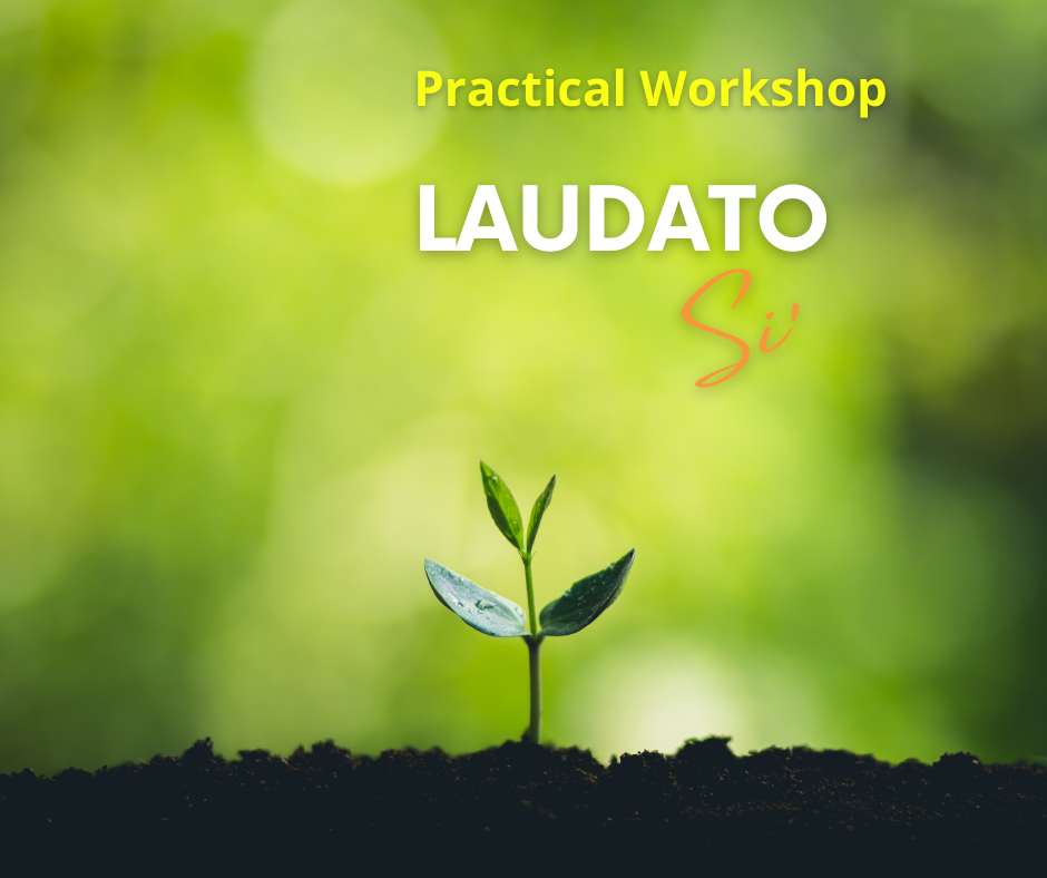 Laudato Si' Practical Workshop