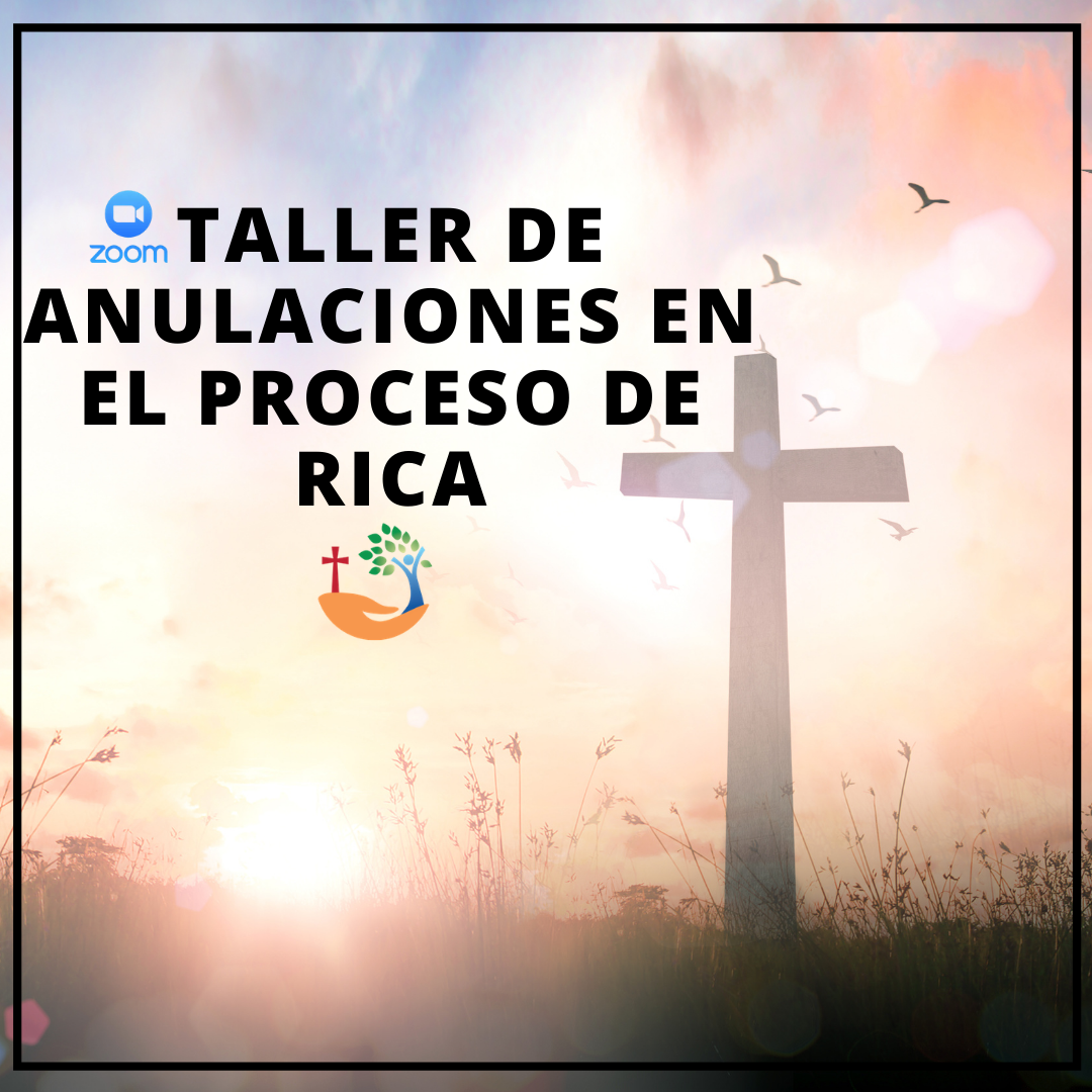 Taller de Anulaciones en el Proceso de RICA